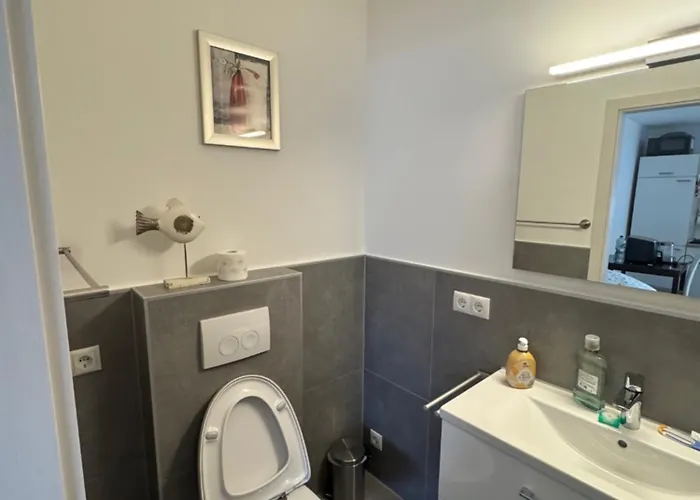 Ferienapartment Little Loft Apartment Weissenthurm